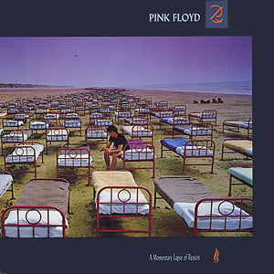 A Momentary Lapse Of Reason 1LP